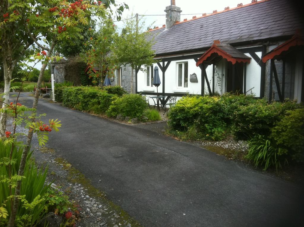 Caheroyn House Athenry Exteriér fotografie