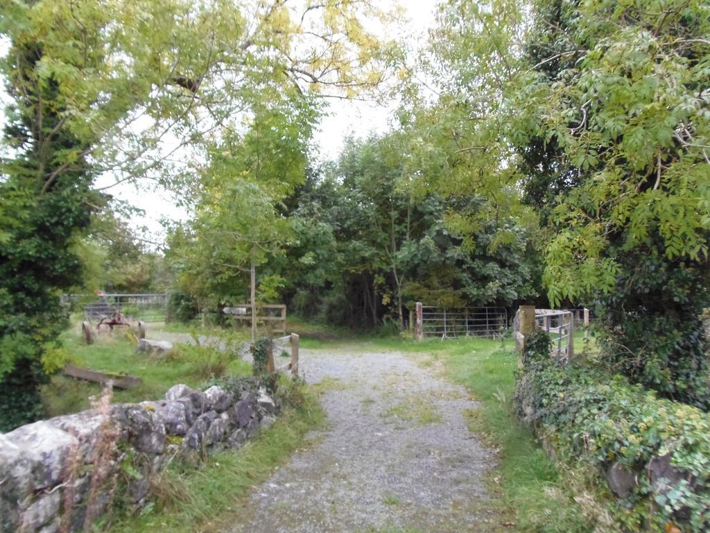 Caheroyn House Athenry Exteriér fotografie